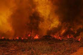 Marina Silva decreta emergência de 10 meses em áreas de MS por risco de incêndios