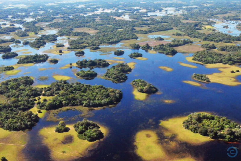 Lei do Pantanal entra em vigor com fiscalização via satélite em todo MS