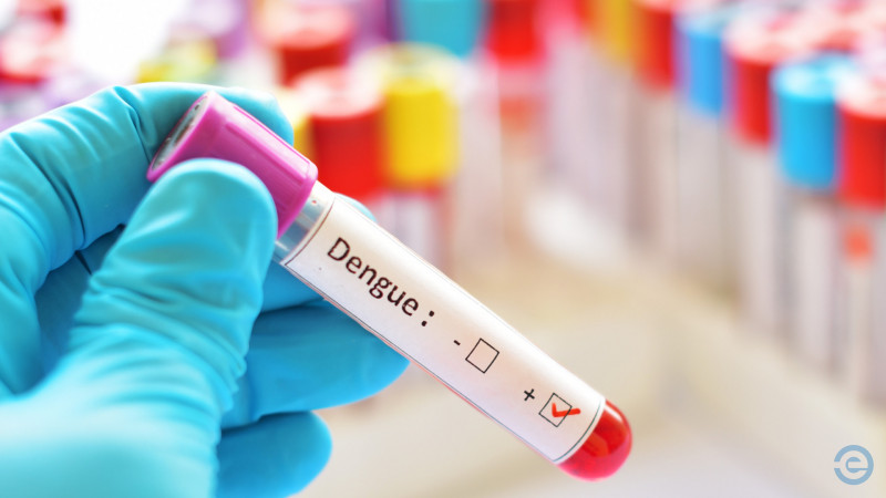 Dengue: risco de morte é 8 vezes maior entre pessoas com 60 anos ou mais