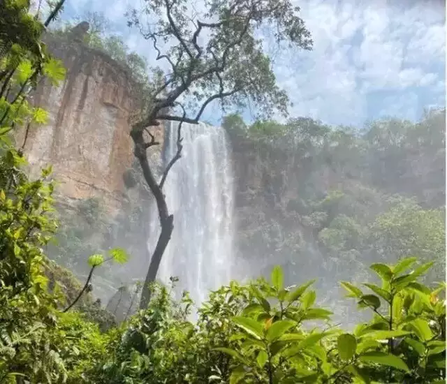 Empresa perde licença para hidrelétrica em rio com cachoeira cênica 