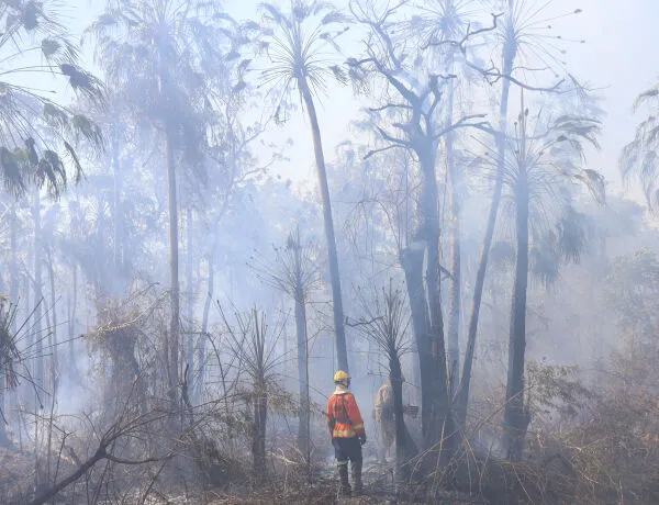 Após 101 dias de operação, Governo de MS anuncia fim dos focos de incêndios no Pantanal