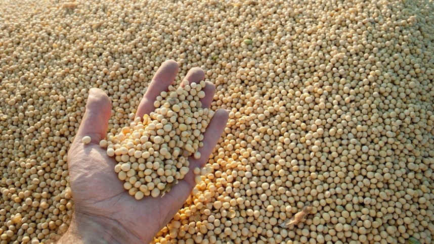 Brasil tem produção recorde de soja para 2020