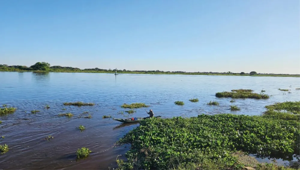Pantanal tem o menor número de focos de calor e área queimada em quase 30 anos