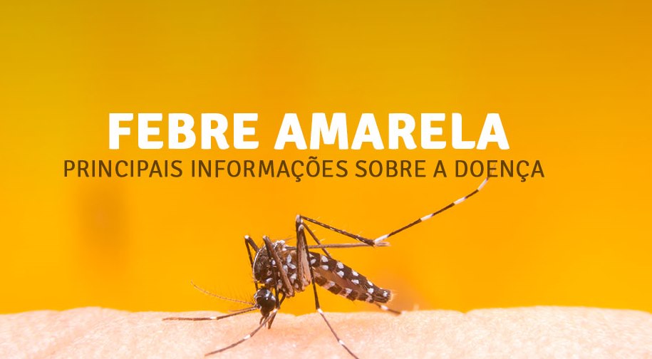 Ministério da Saúde faz alerta sobre febre amarela