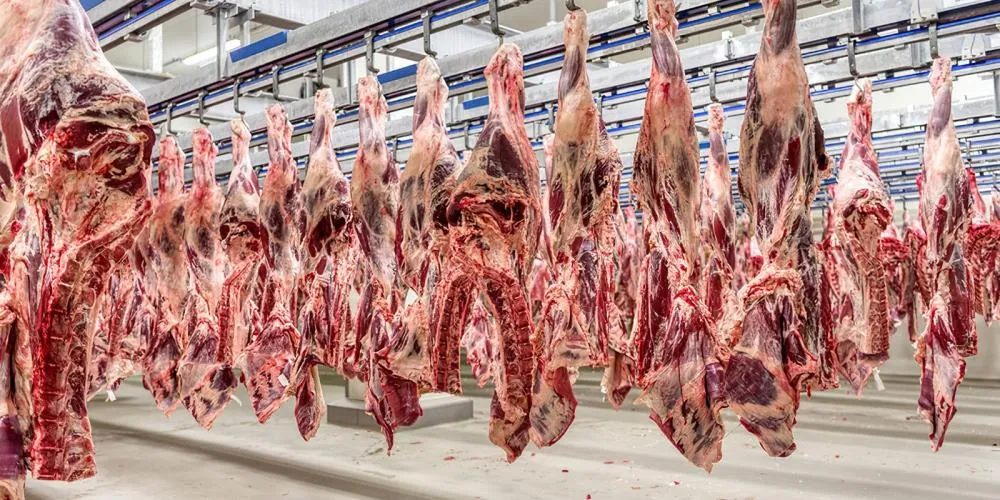 MS registra US$ 7,24 bilhões em exportações e carne bovina cresce 43,7% no ano