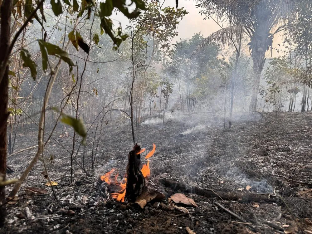 Ano de 2025 é quinto com maior área atingida por queimadas até agosto