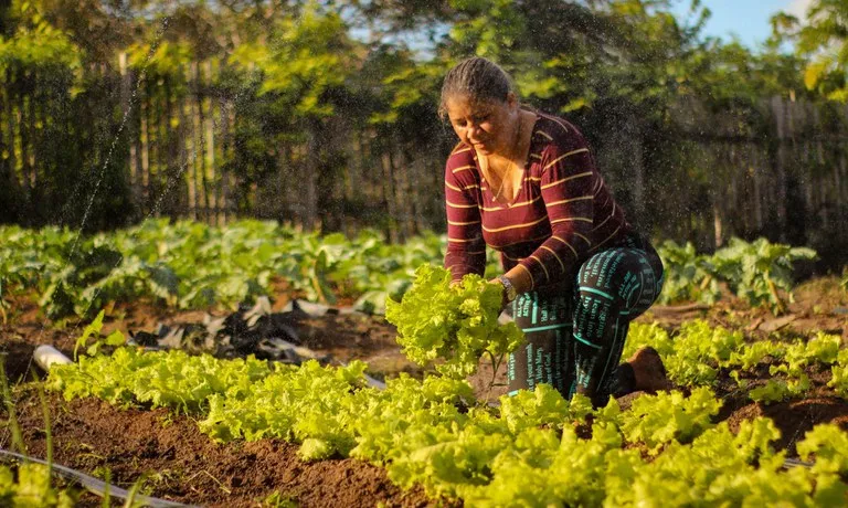 Governo abre crédito de R$ 12 bilhões para produtores rurais