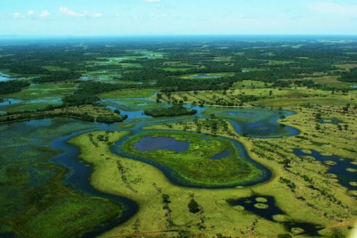 Com vetos, Lula sanciona lei que cria o Estatuto do Pantanal