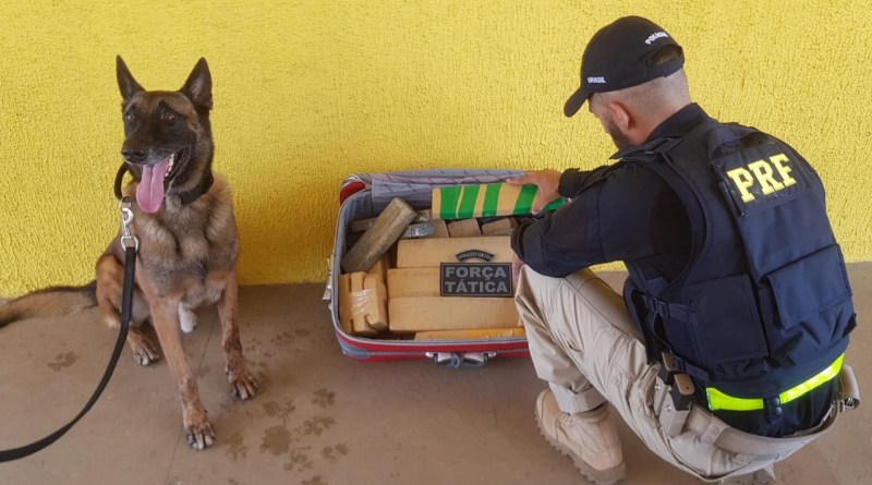 PRF e PM apreendem 20 Kg de maconha com menor de idade em Coxim
