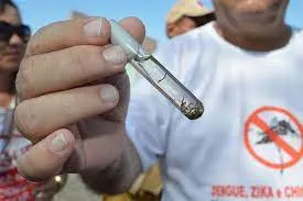 MS registra 8.237 casos confirmados de dengue