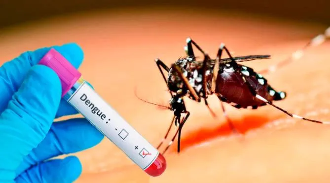 Mato Grosso do Sul confirma 8,2 mil casos de dengue e 18 mortes em 2025