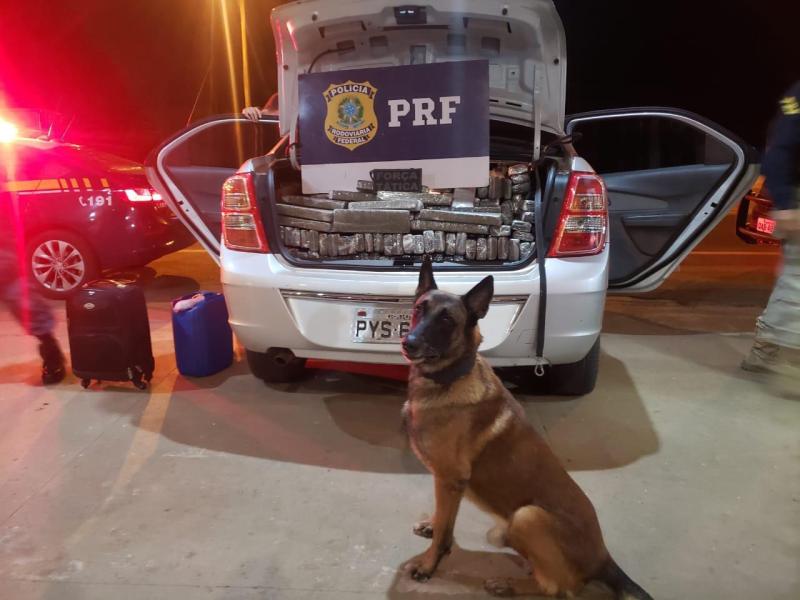 PRF e PM de Coxim apreendem maconha, recuperam veículo e prendem batedor 