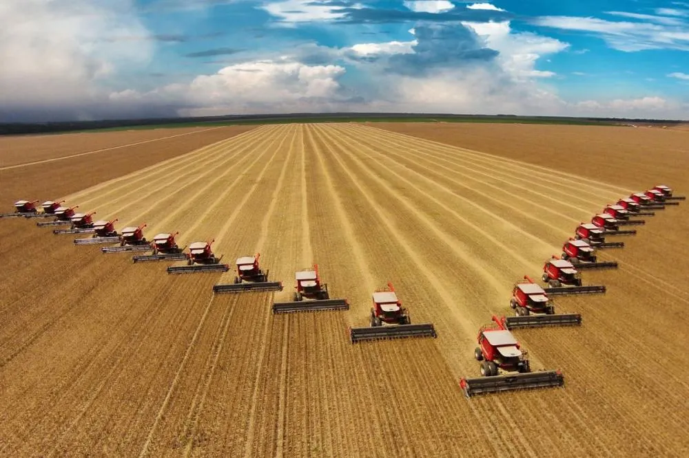 Colheita da soja se aproxima de 15% em Mato Grosso do Sul, aponta Aprosoja