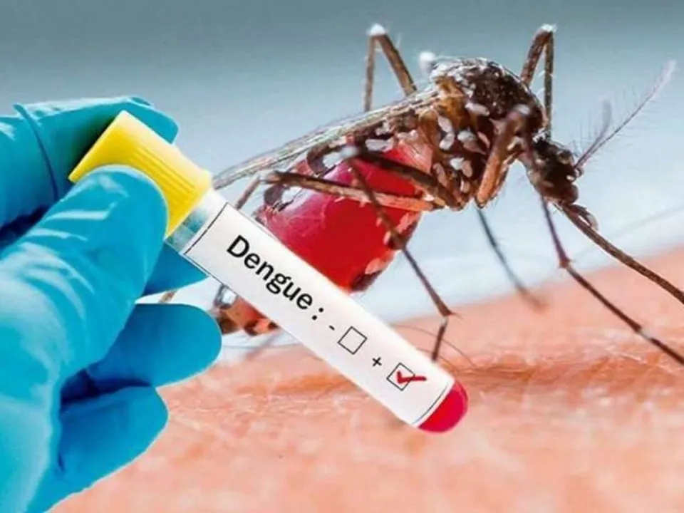MS confirma 107 casos de dengue em 2026 e não registra mortes