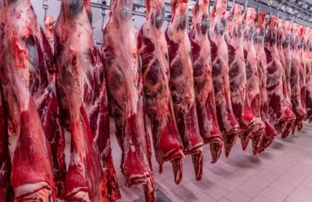 União Europeia exclui Brasil de lista de exportadores de carnes e produtos animais