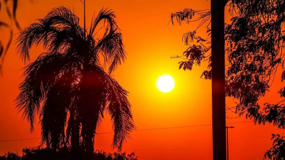 Mato Grosso do Sul pode ter o maior calor do ano nos próximos dias, com até 42°C
