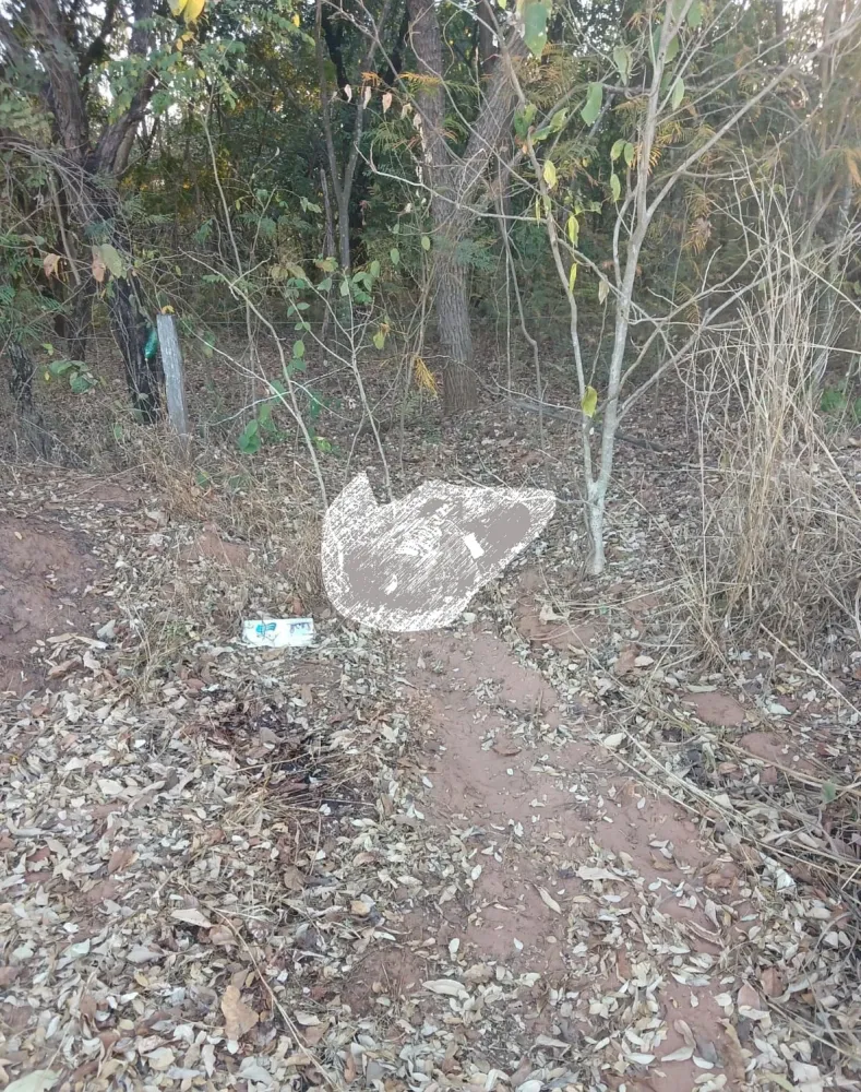 Sonora (MS) Corpo de homem é encontrado decapitado em área rural próxima a Sonora