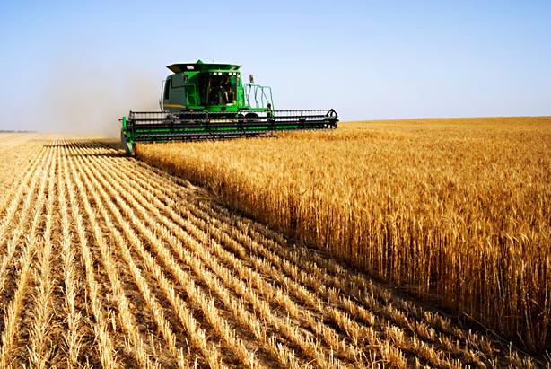Agropecuária pode levar MS ao 3º maior crescimento do País em 2020
