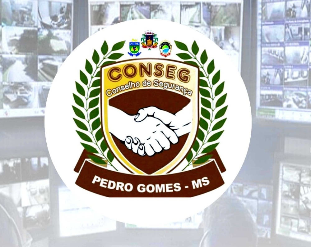 Conselho de Segurança de Pedro Gomes realiza prestação de contas